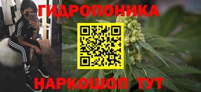 гашик Тула