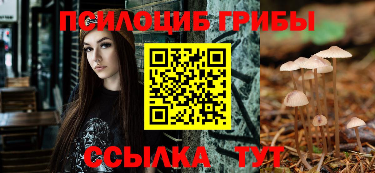 Галлюциногенные грибы прущие грибы  Галлюциногенные грибы прущие грибы  Вход с VPN  Магадан 